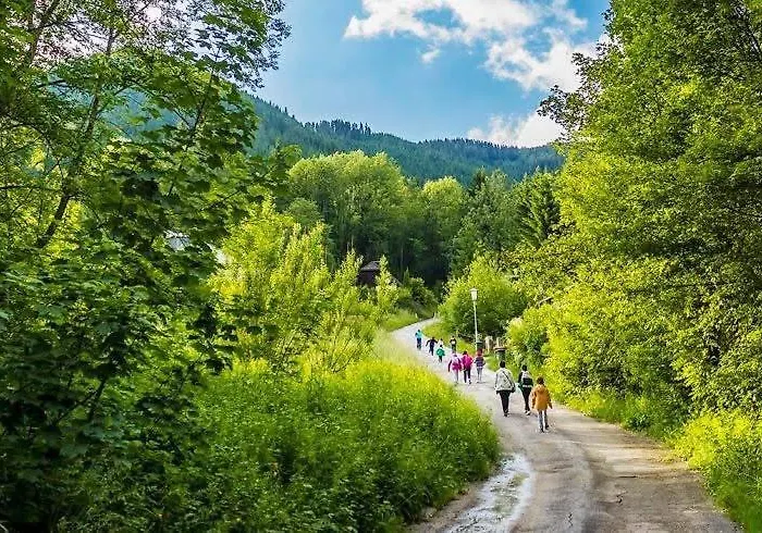 Tannenhof Отель типа 